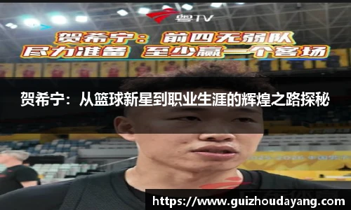 TVT体育